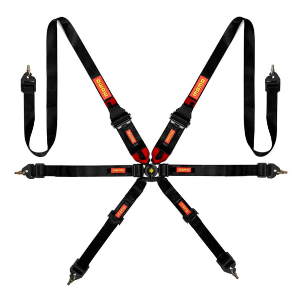 MOMO 6-Point Camlock Harness