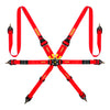 MOMO 6-Point Camlock Harness